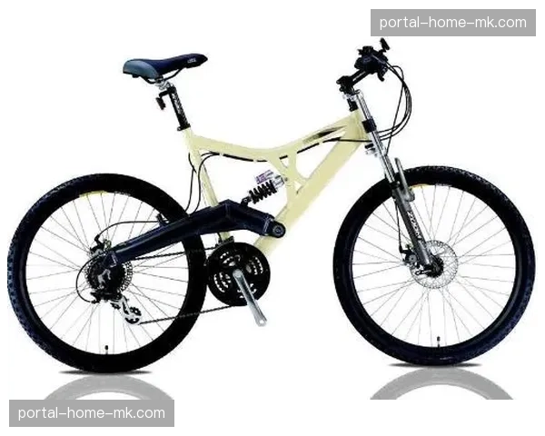 各地山地自行车赛事报名数据统计分析